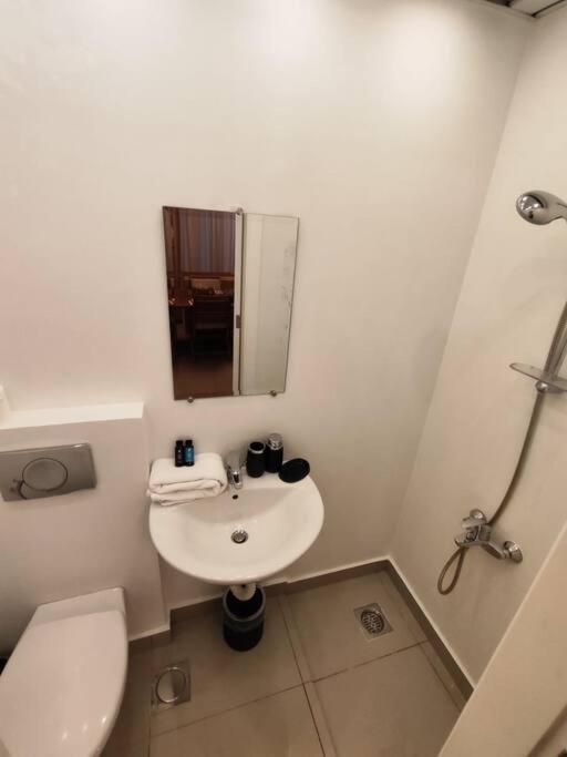 Apartment Spacious Nest 1-br In Ashrafieh *